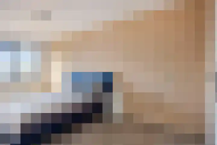 Sepiastraat 50 Almere thumbnail 17