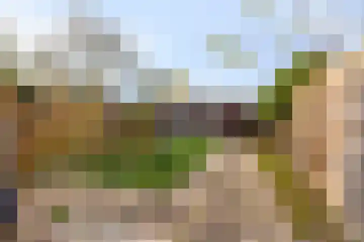 Sepiastraat 50 Almere thumbnail 32