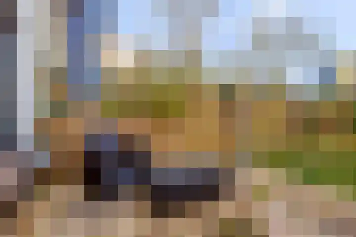 Sepiastraat 50 Almere thumbnail 33