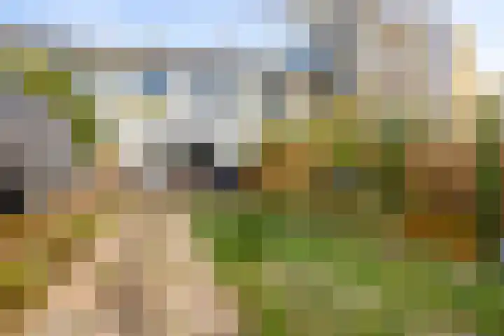 Sepiastraat 50 Almere thumbnail 34