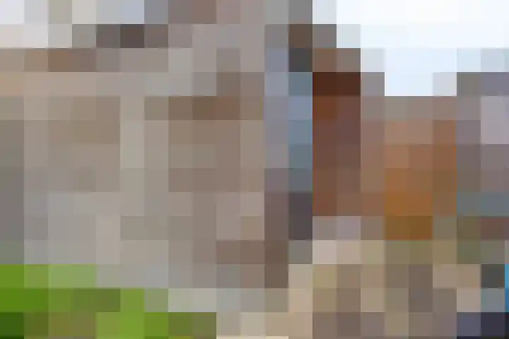 Sepiastraat 50 Almere thumbnail 35