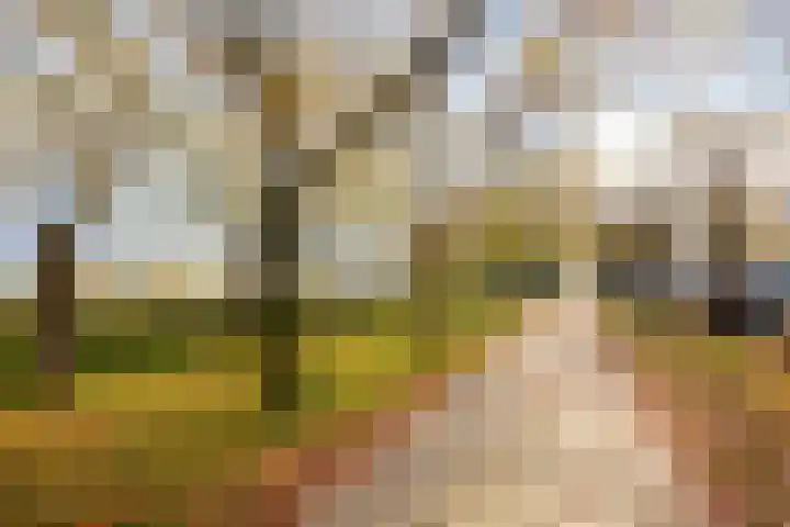 Sepiastraat 50 Almere thumbnail 36
