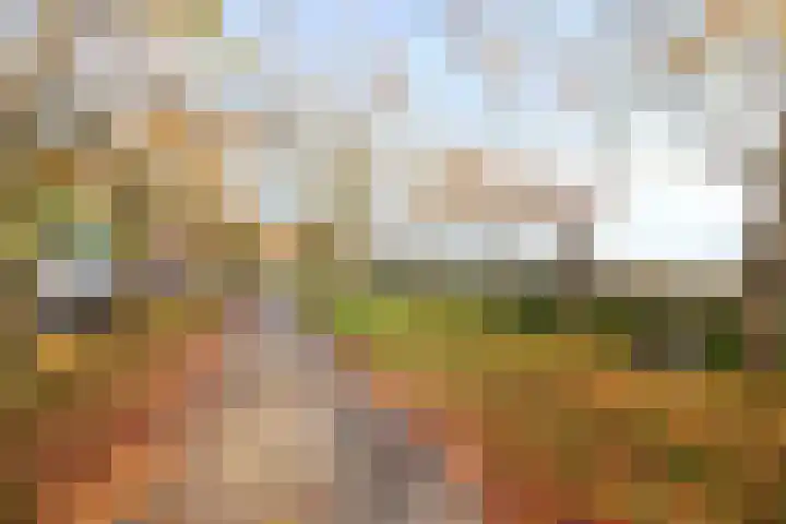 Sepiastraat 50 Almere thumbnail 37