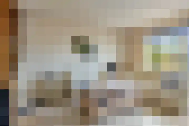 Sepiastraat 50 Almere thumbnail 5