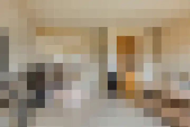 Sepiastraat 50 Almere thumbnail 8