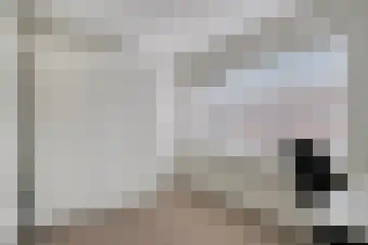 Sepiastraat 66 Tilburg thumbnail 18