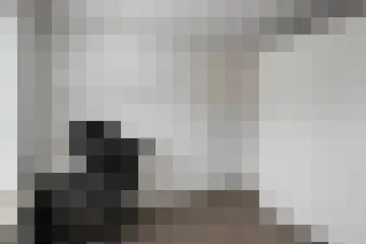 Sepiastraat 66 Tilburg thumbnail 19