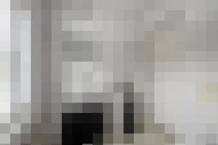 Sepiastraat 66 Tilburg thumbnail 21