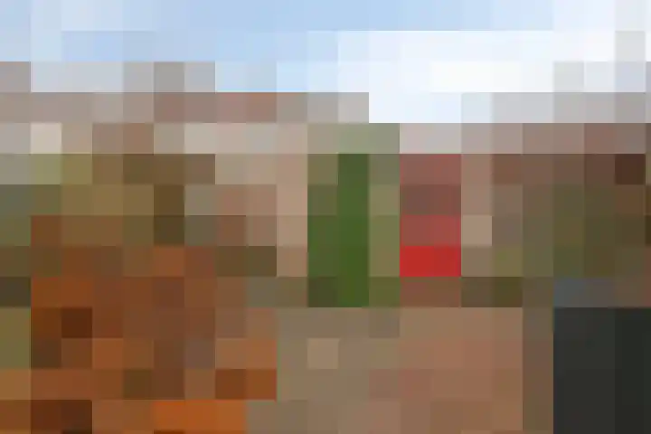Sepiastraat 66 Tilburg thumbnail 25