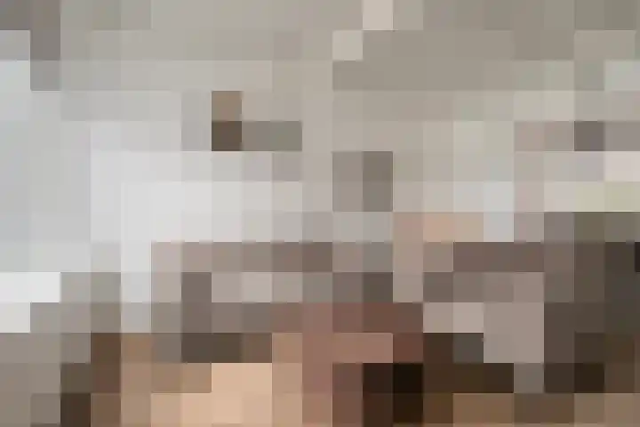 Sepiastraat 66 Tilburg thumbnail 4