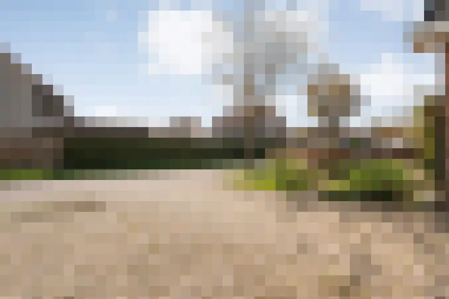 Sepiepenakkers 4 Diever thumbnail 10