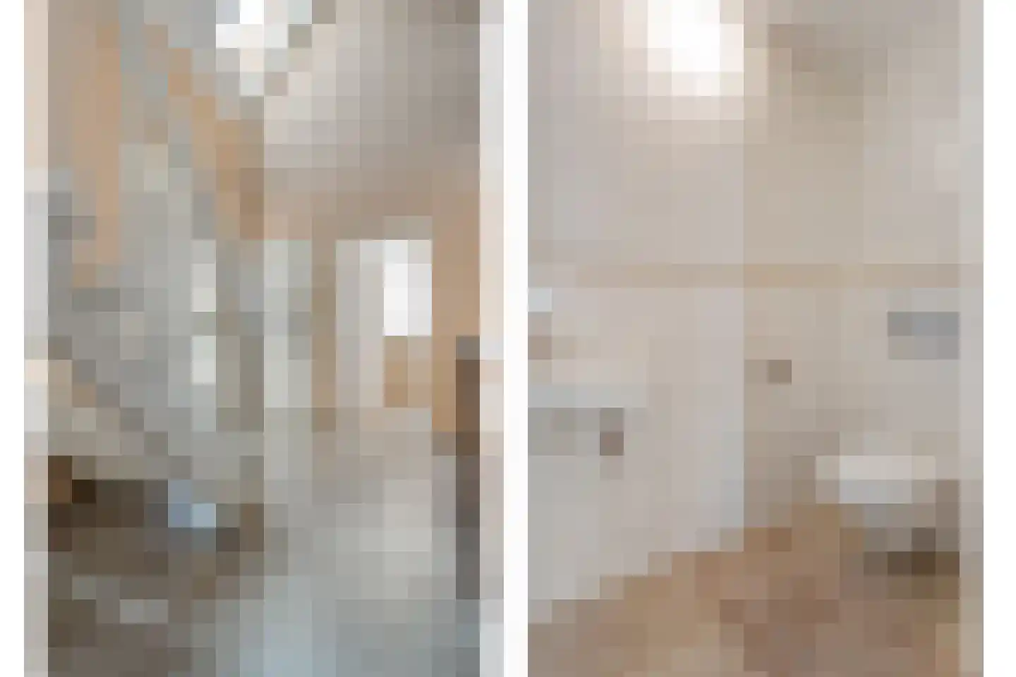 Sepiepenakkers 4 Diever thumbnail 12