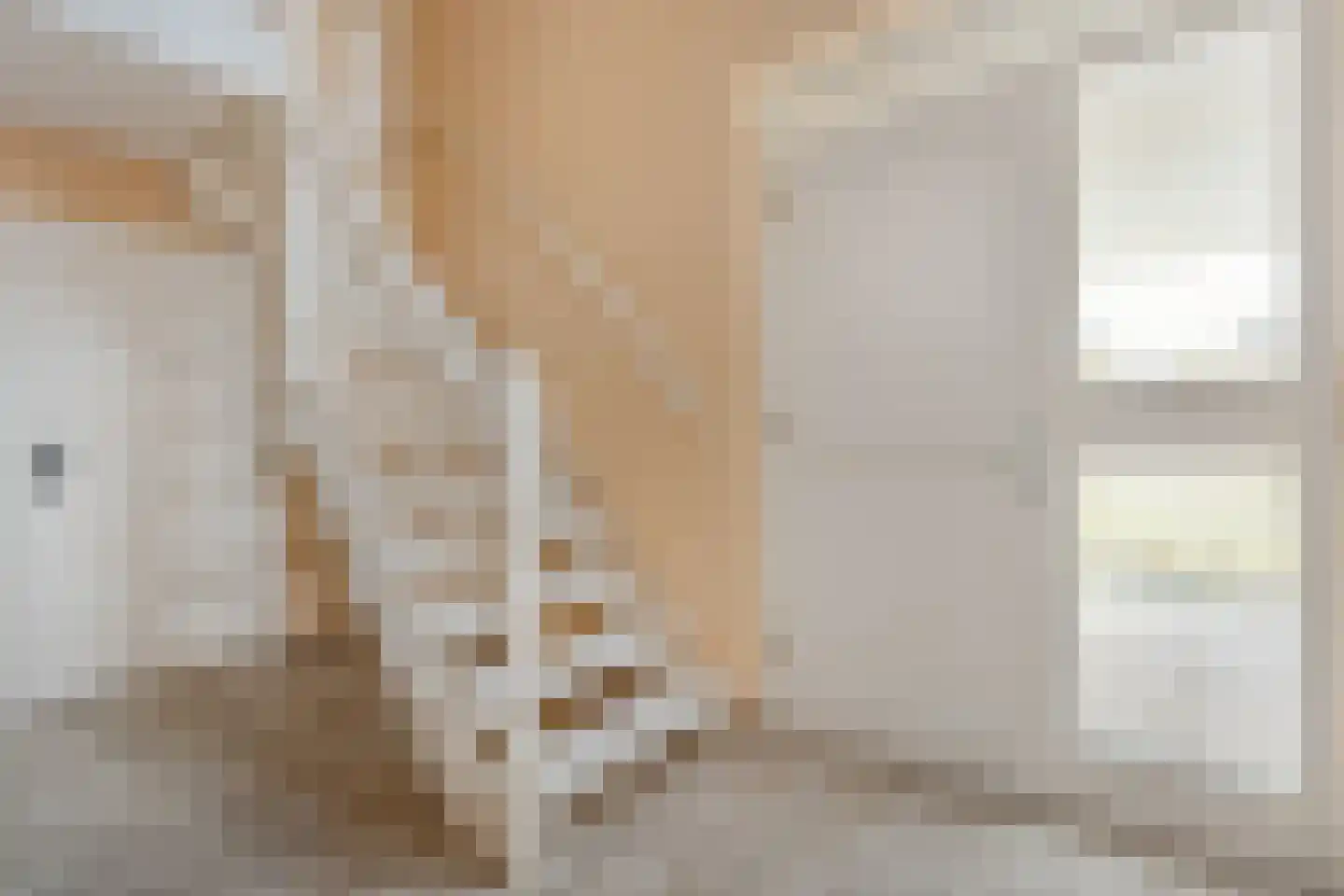 Sepiepenakkers 4 Diever thumbnail 13