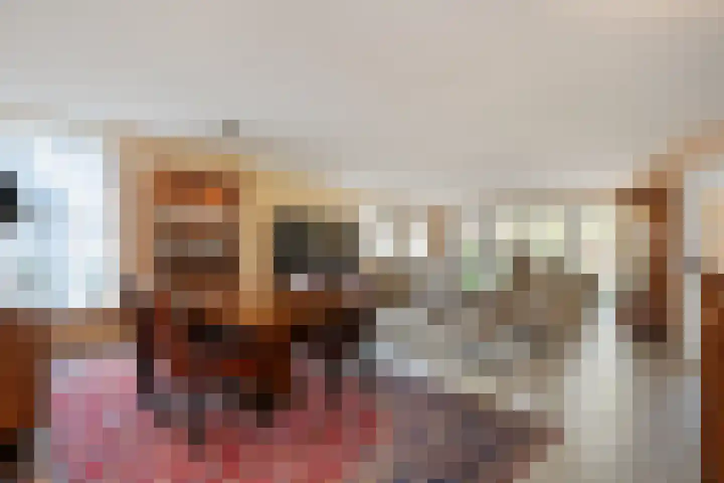 Sepiepenakkers 4 Diever thumbnail 14