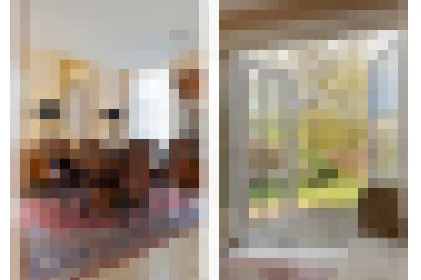 Sepiepenakkers 4 Diever thumbnail 16