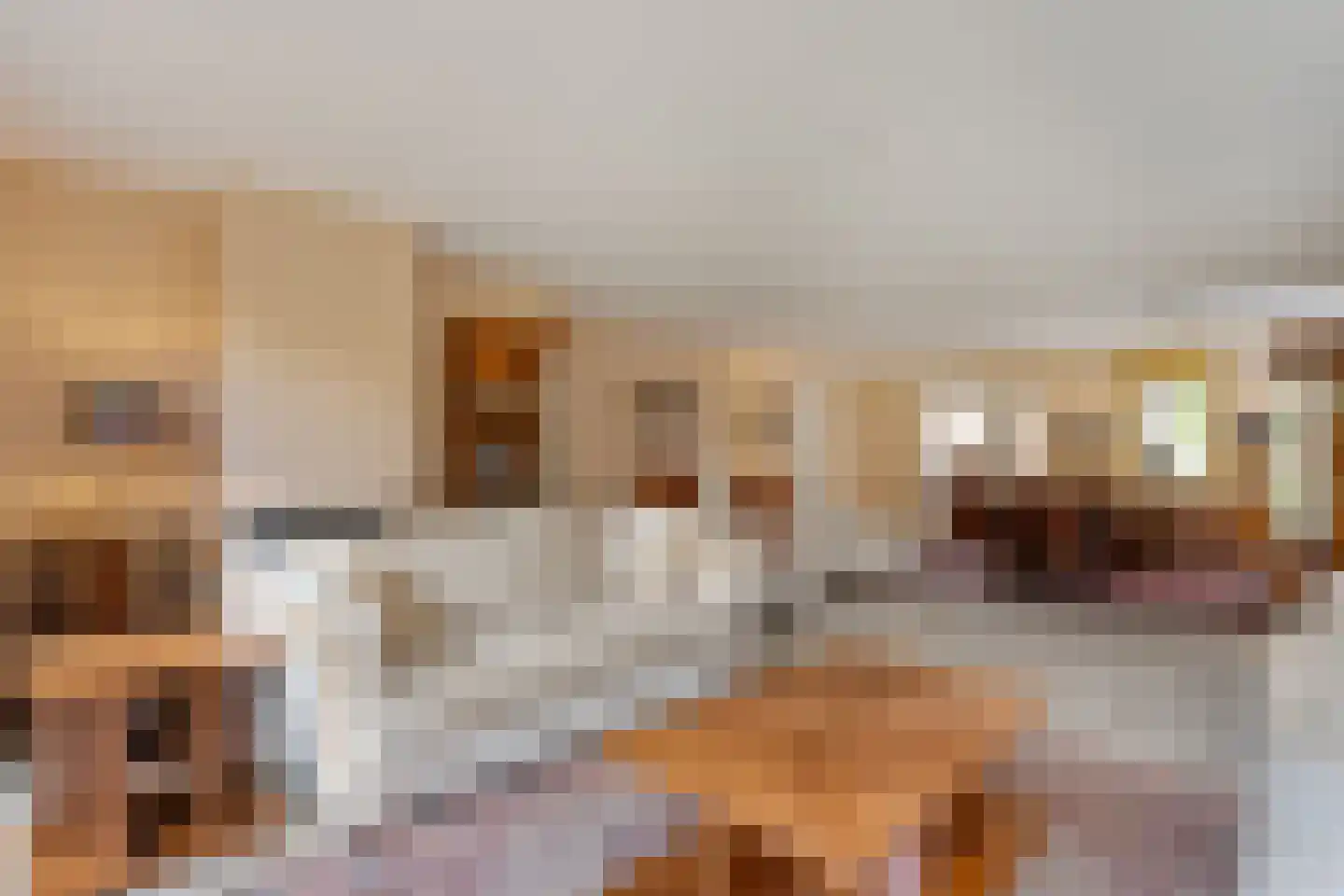 Sepiepenakkers 4 Diever thumbnail 18