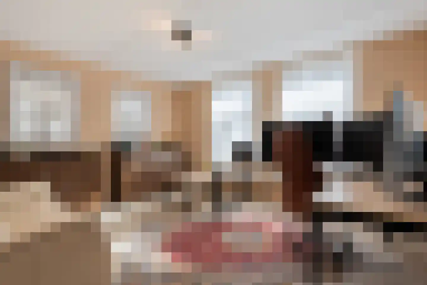 Sepiepenakkers 4 Diever thumbnail 23