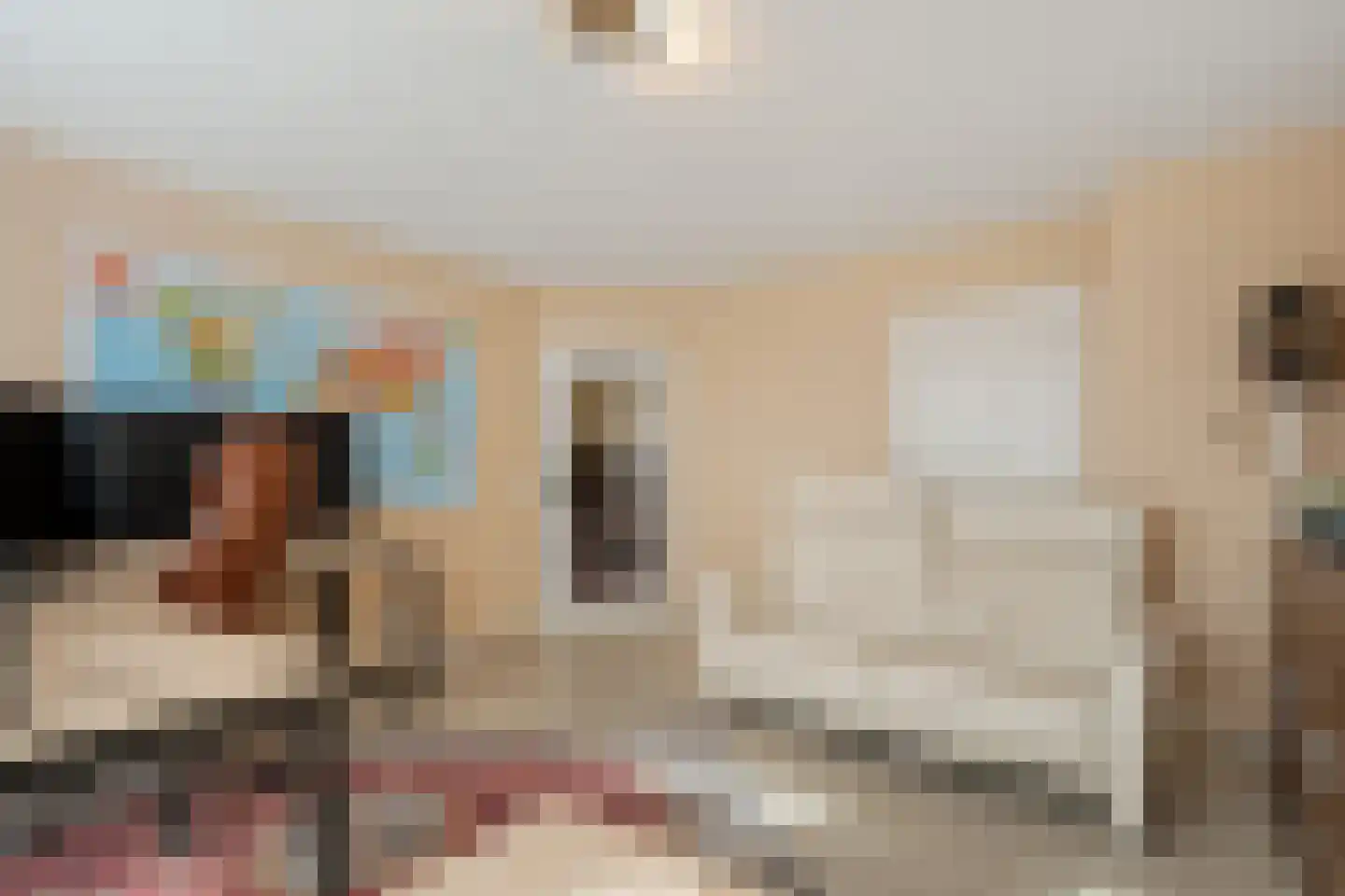 Sepiepenakkers 4 Diever thumbnail 24