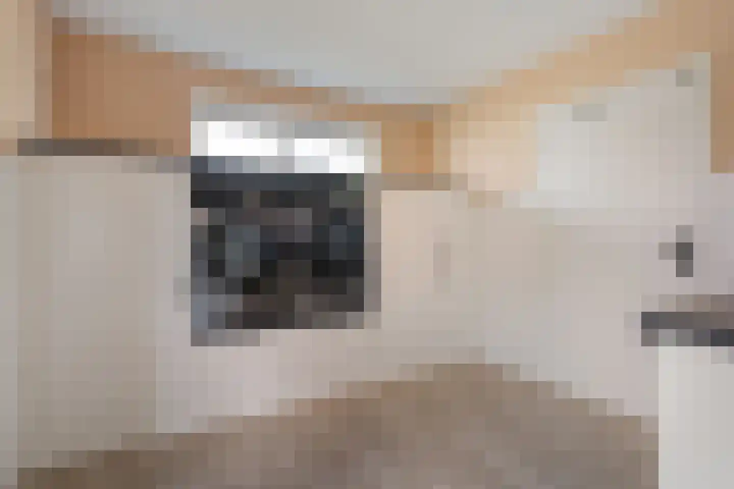 Sepiepenakkers 4 Diever thumbnail 27