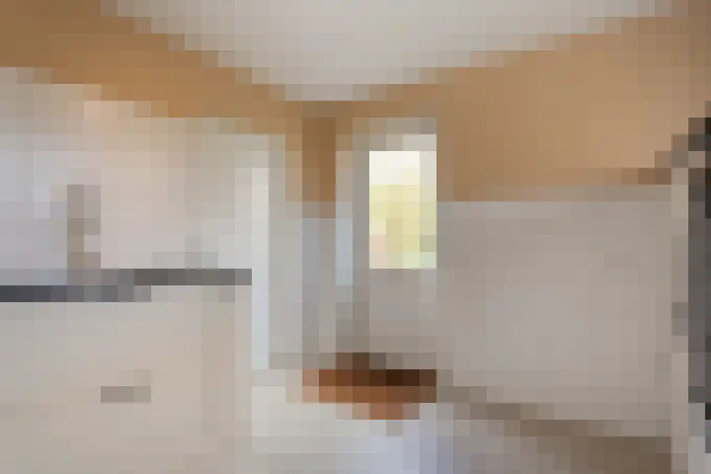 Sepiepenakkers 4 Diever thumbnail 28