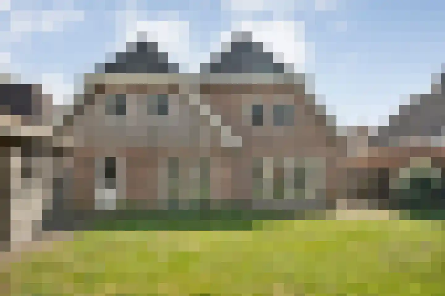 Sepiepenakkers 4 Diever foto 3