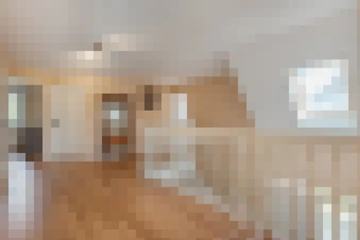 Sepiepenakkers 4 Diever thumbnail 30