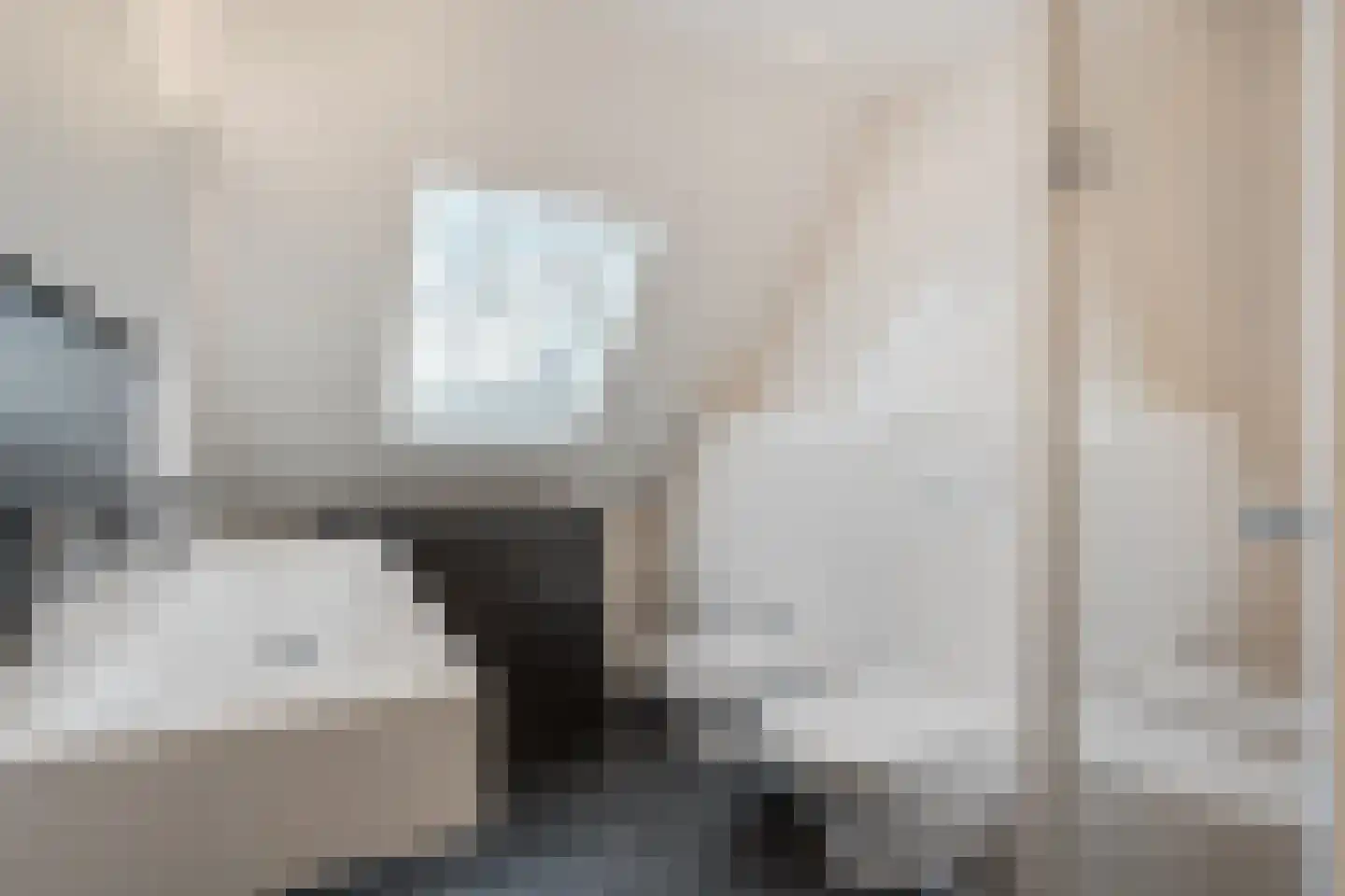 Sepiepenakkers 4 Diever thumbnail 35