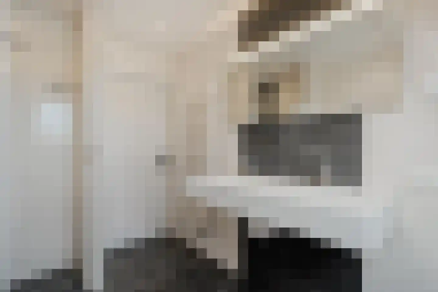 Sepiepenakkers 4 Diever thumbnail 36