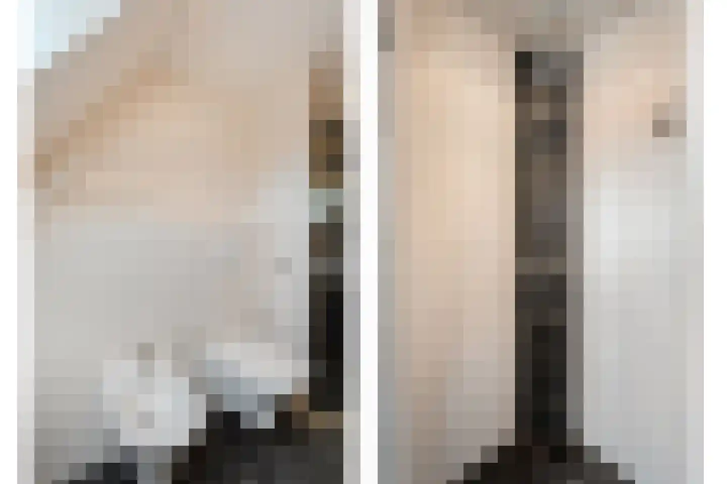 Sepiepenakkers 4 Diever thumbnail 37