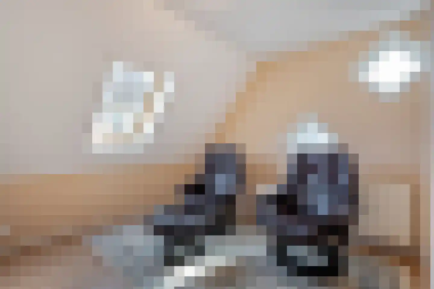 Sepiepenakkers 4 Diever thumbnail 40