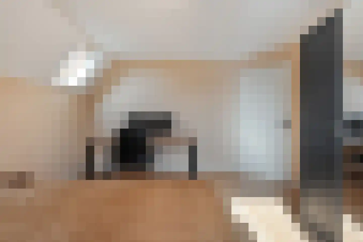 Sepiepenakkers 4 Diever thumbnail 45