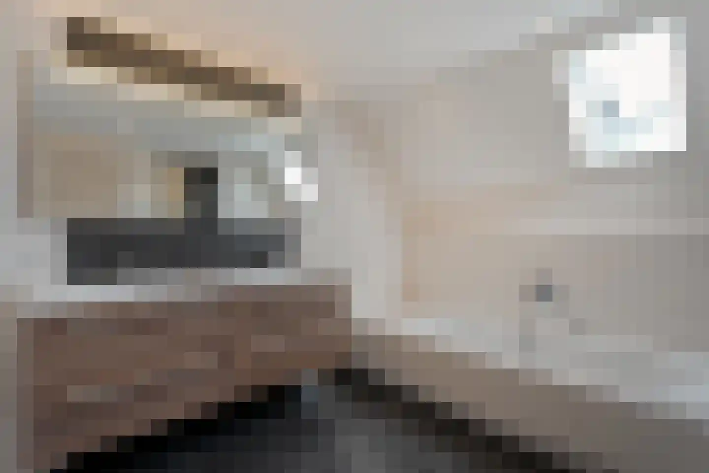 Sepiepenakkers 4 Diever thumbnail 46