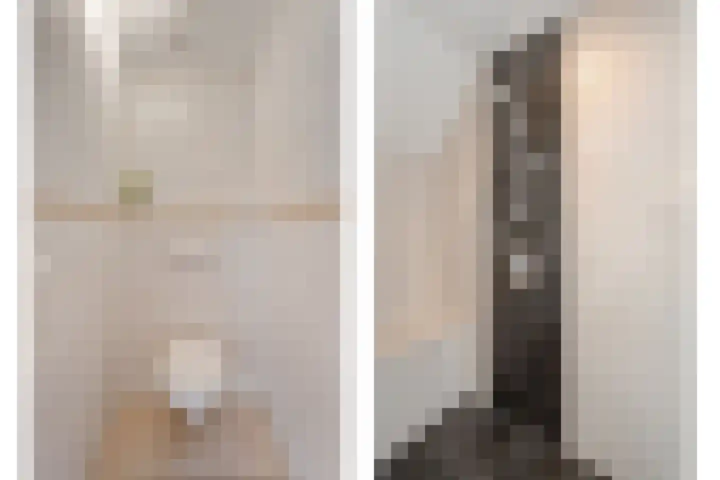 Sepiepenakkers 4 Diever thumbnail 48