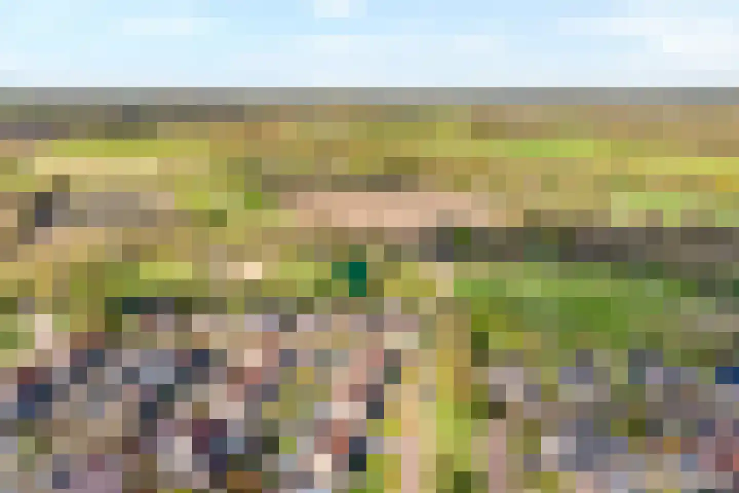 Sepiepenakkers 4 Diever thumbnail 5