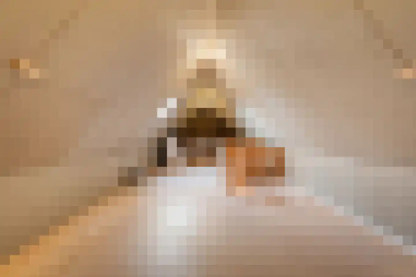 Sepiepenakkers 4 Diever thumbnail 50
