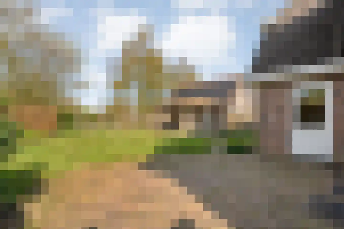 Sepiepenakkers 4 Diever thumbnail 51