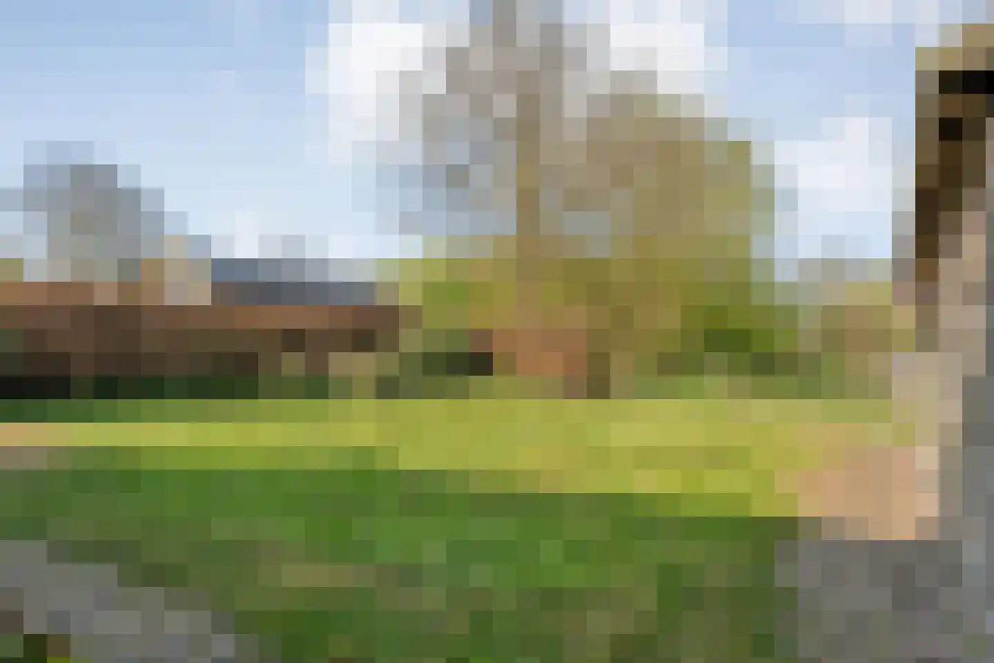 Sepiepenakkers 4 Diever thumbnail 52