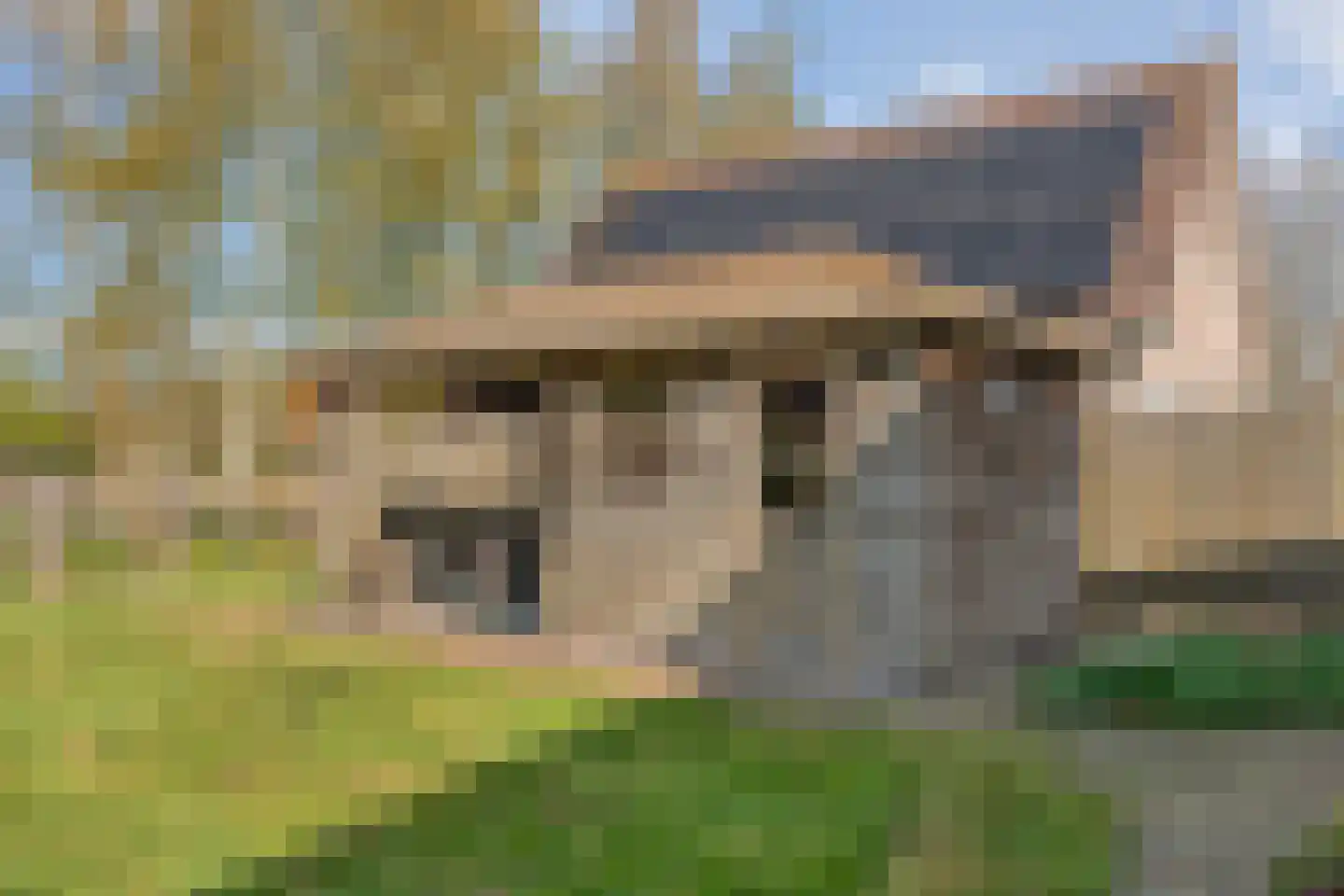 Sepiepenakkers 4 Diever thumbnail 55