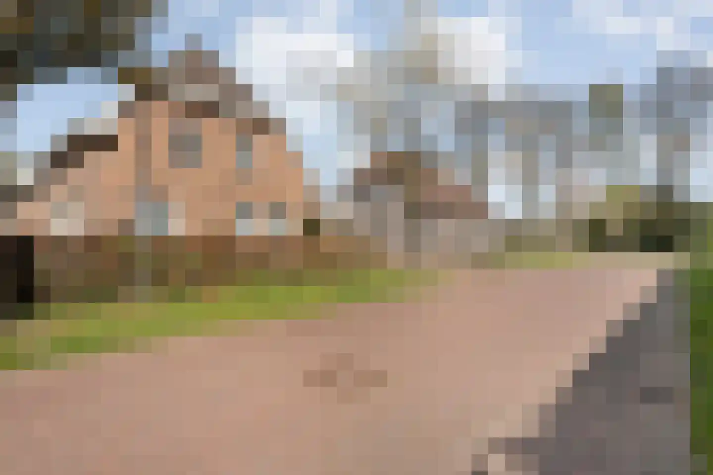 Sepiepenakkers 4 Diever thumbnail 7