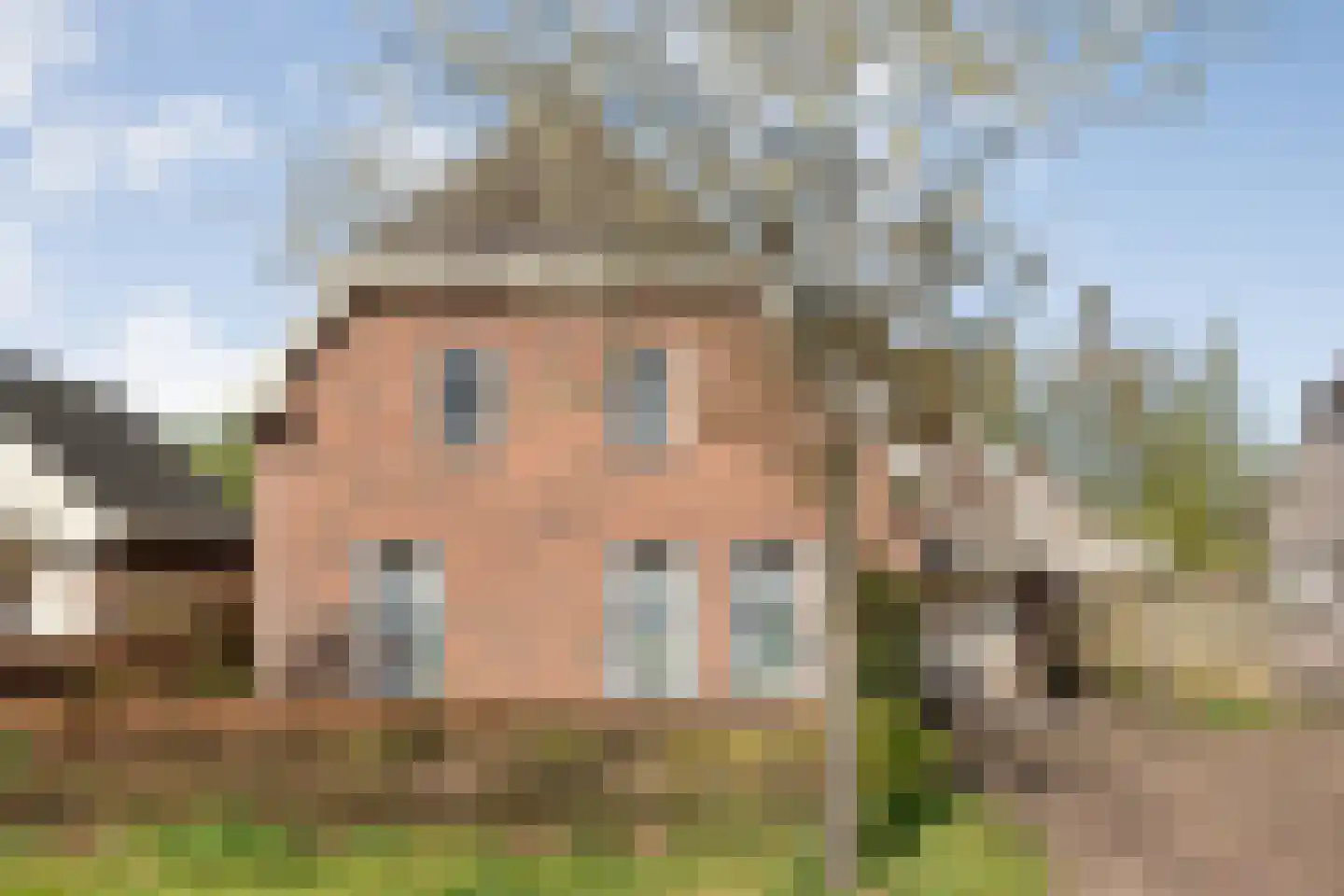 Sepiepenakkers 4 Diever thumbnail 9