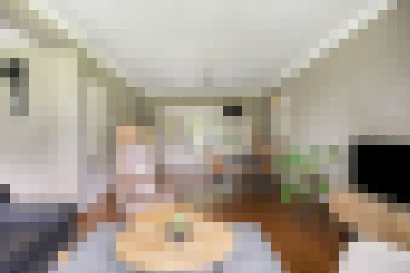 Seradellehof 7 Lage Mierde thumbnail 14