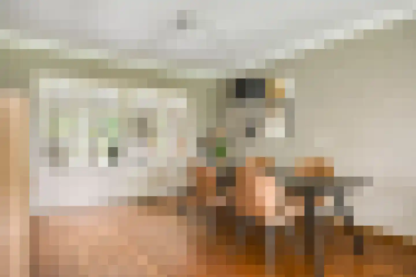 Seradellehof 7 Lage Mierde thumbnail 15
