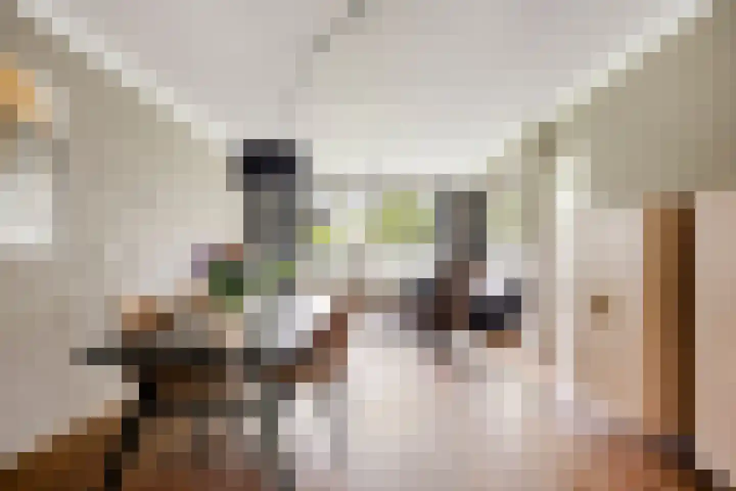 Seradellehof 7 Lage Mierde thumbnail 16