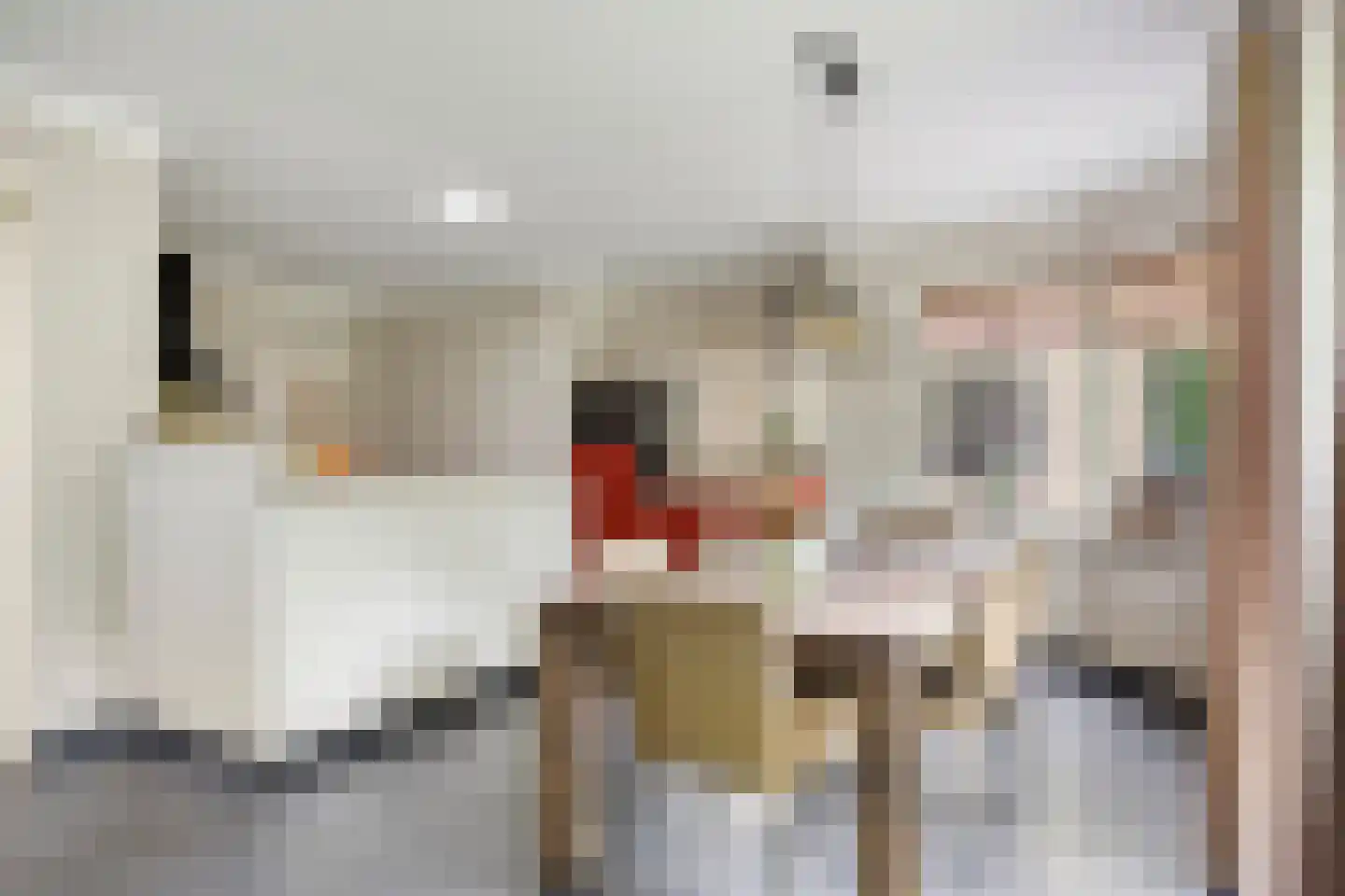 Seradellehof 7 Lage Mierde thumbnail 19