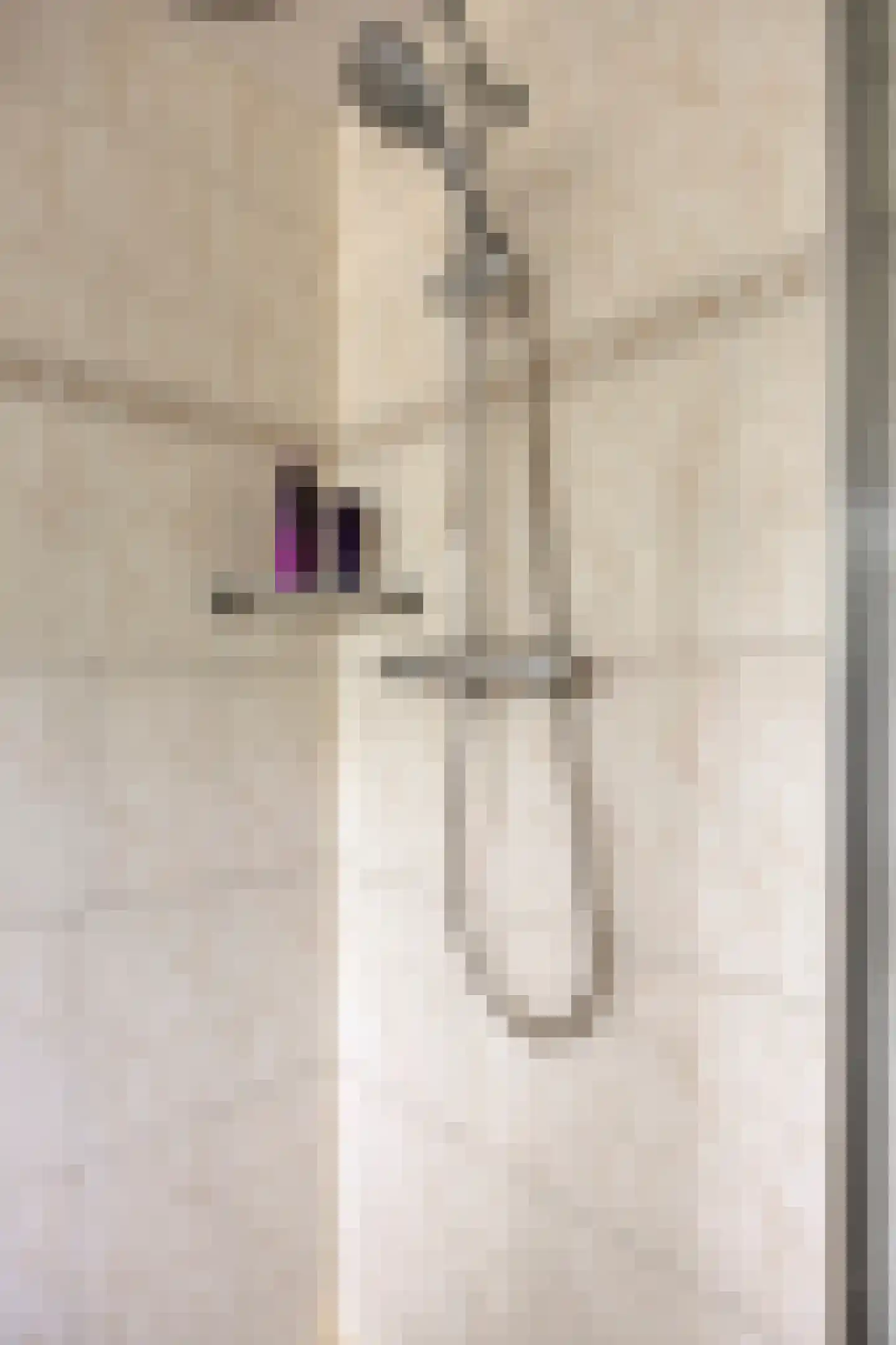 Seradellehof 7 Lage Mierde thumbnail 36