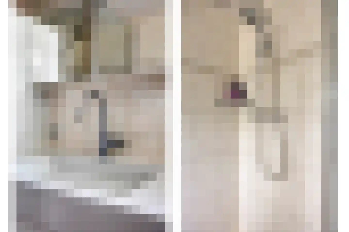 Seradellehof 7 Lage Mierde thumbnail 37