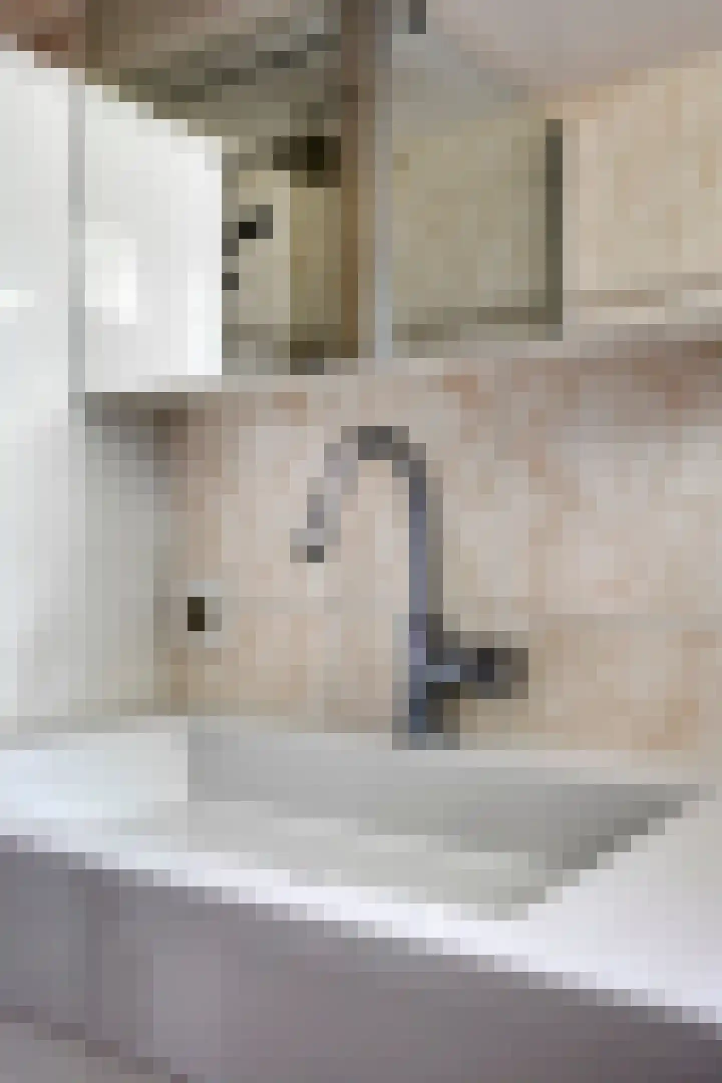 Seradellehof 7 Lage Mierde thumbnail 38