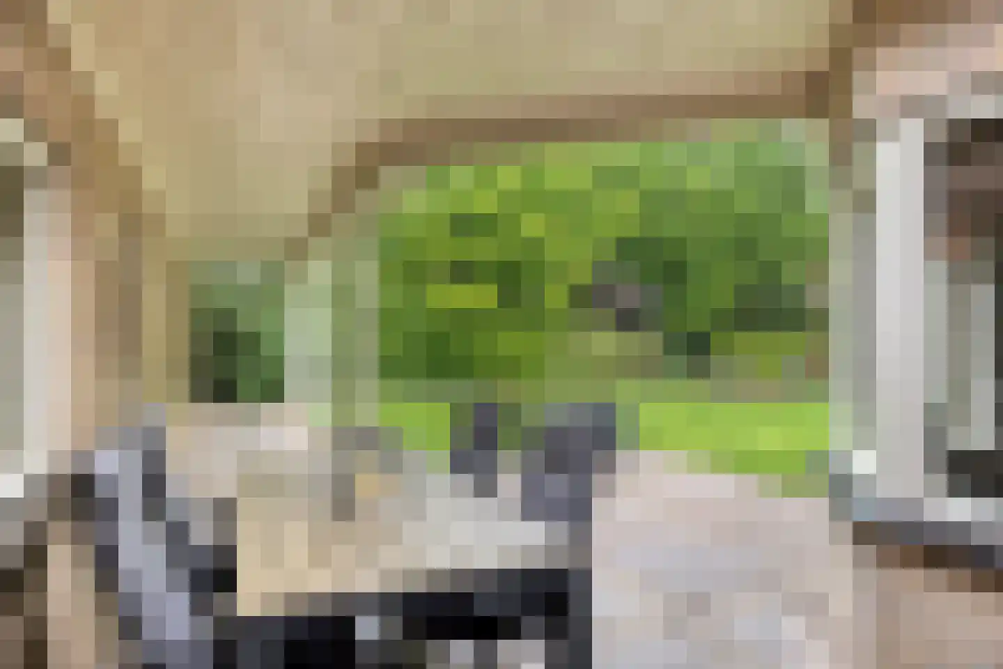 Seradellehof 7 Lage Mierde thumbnail 39