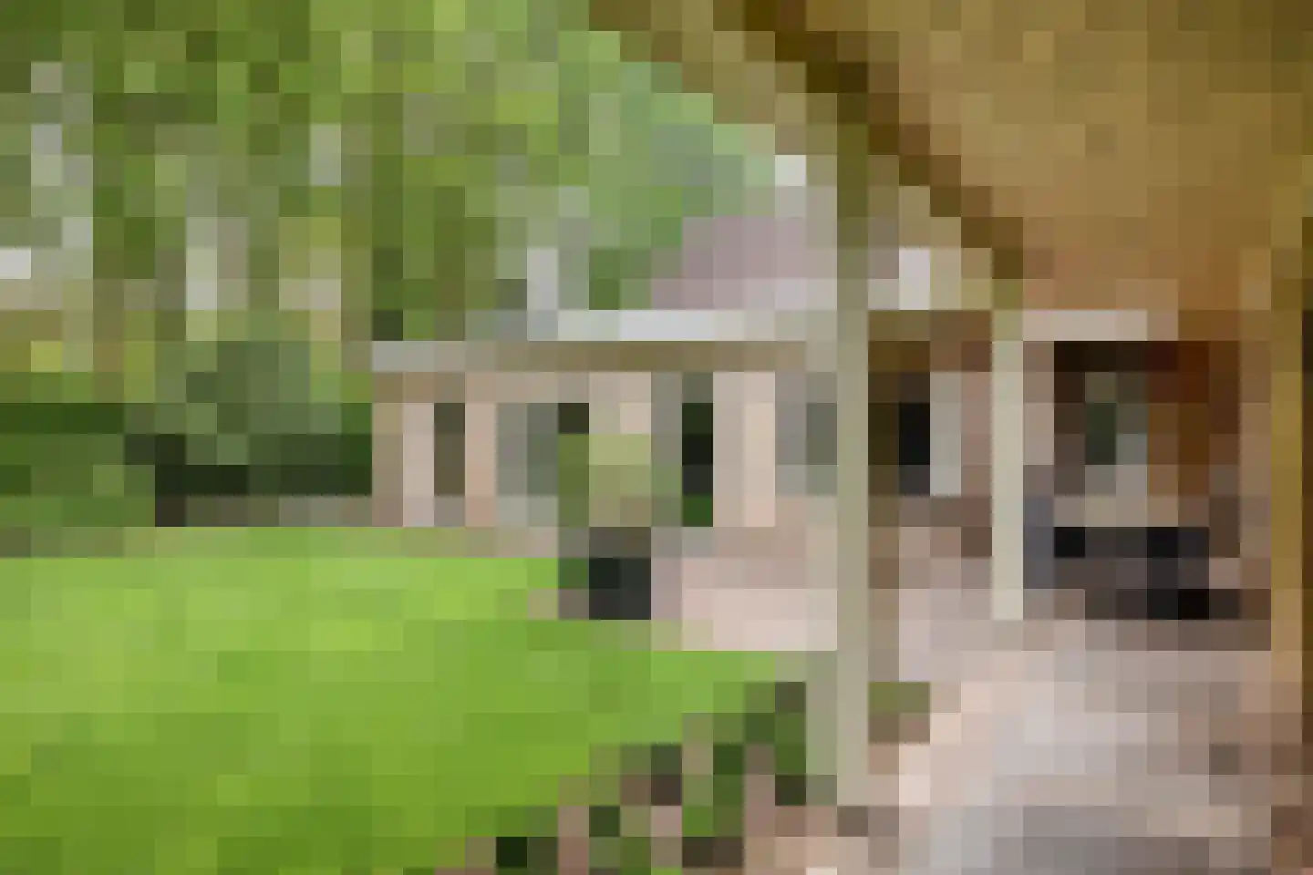 Seradellehof 7 Lage Mierde thumbnail 40