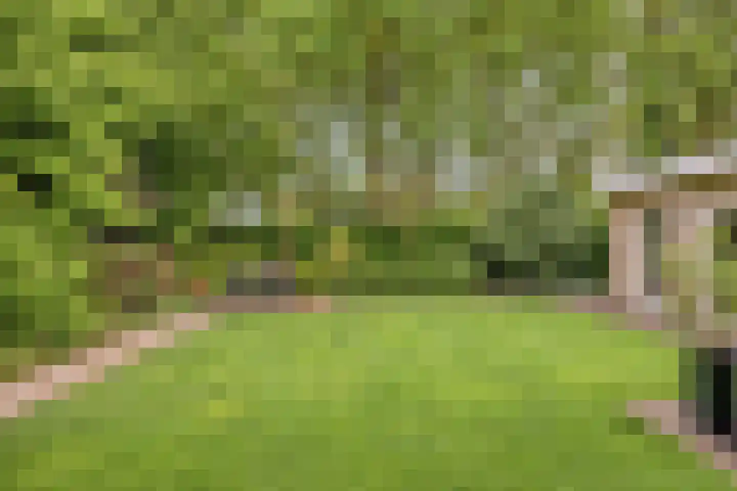 Seradellehof 7 Lage Mierde thumbnail 41